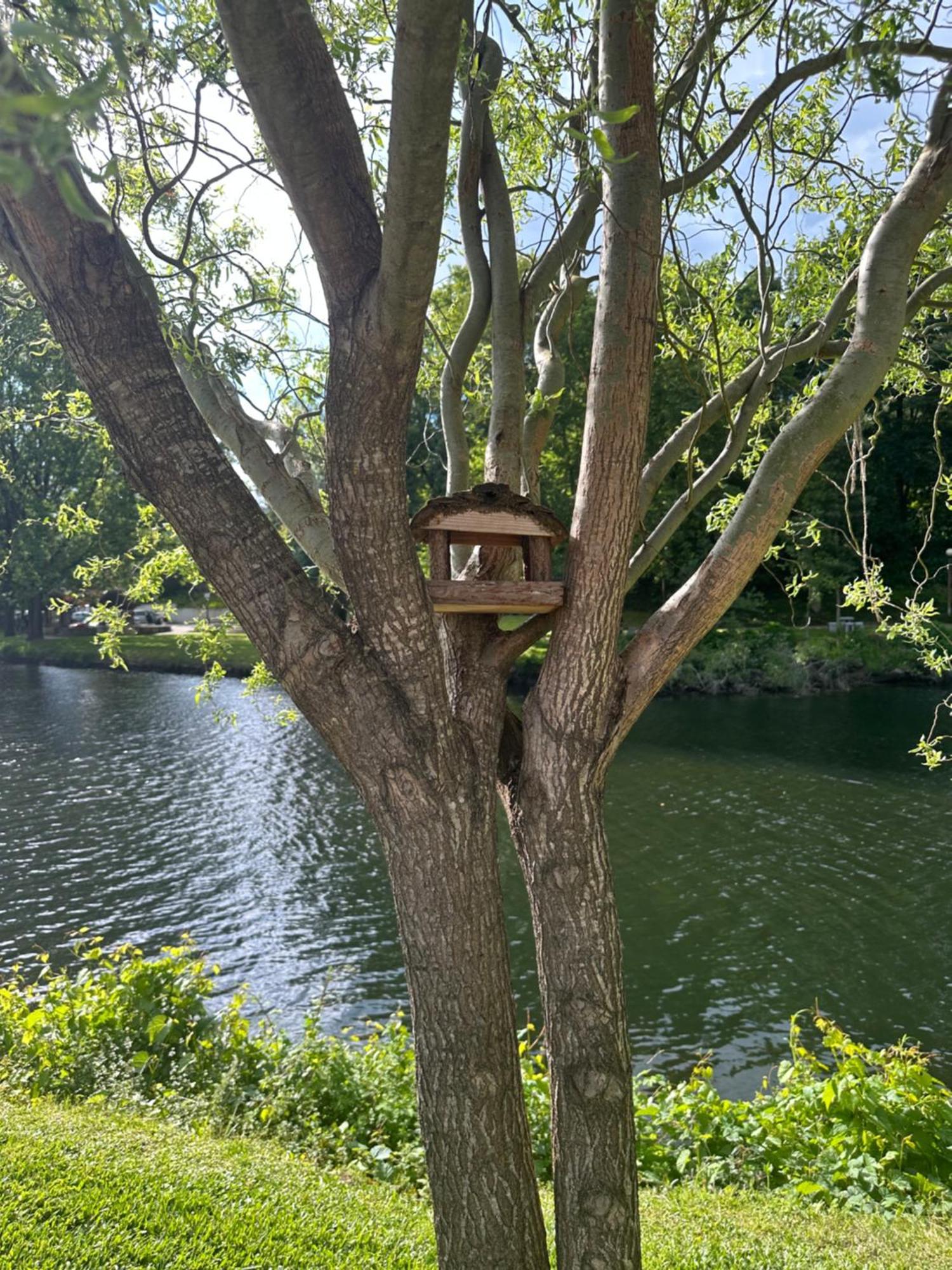Nature E Spa Al: Thermal Wellness Retreat with Municipal Pools Sao Pedro do Sul Exterior photo